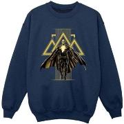 Sweat-shirt enfant Dc Comics BI7619