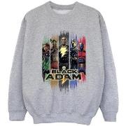 Sweat-shirt enfant Dc Comics JSA