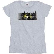 T-shirt Dc Comics The Flash Batman Portraits