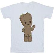 T-shirt Marvel BI38777