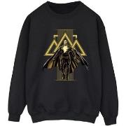 Sweat-shirt Dc Comics Black Adam Rising Golden Symbols