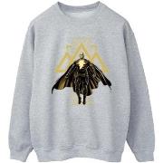 Sweat-shirt Dc Comics BI8234