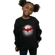 Sweat-shirt enfant Dc Comics BI8235