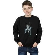 Sweat-shirt enfant Dc Comics Alex Ross