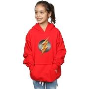 Sweat-shirt enfant Dc Comics Justice League