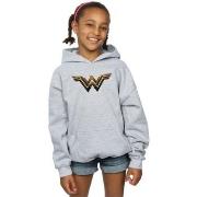 Sweat-shirt enfant Dc Comics Justice League