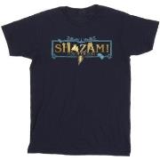 T-shirt Dc Comics Shazam Fury Of The Gods Golden Logo