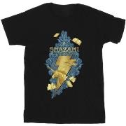 T-shirt Dc Comics Fury Of The Gods