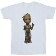 T-shirt Marvel I Am Groot Wave Pose