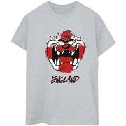 T-shirt Dessins Animés Taz England Face