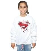 Sweat-shirt enfant Dc Comics Superman Geo Logo