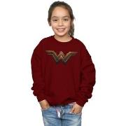 Sweat-shirt enfant Dc Comics BI9973