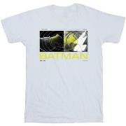 T-shirt Dc Comics The Flash Batman Future To Past