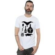 T-shirt Fantastic Beasts BI24903