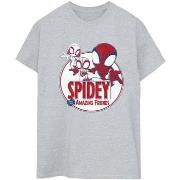 T-shirt Marvel Spidey And His Amazing Friends