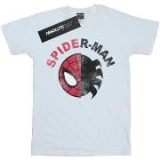 T-shirt Marvel Spider-Man Classic Split