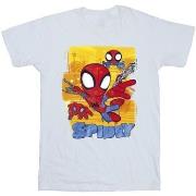 T-shirt Marvel Spidey And His Amazing Friends Flying