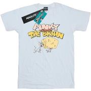 T-shirt Animaniacs Pinky And The Brain Cheese Head