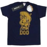 T-shirt Scooby Doo BI44971