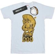 T-shirt Scooby Doo And Shaggy