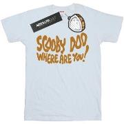 T-shirt Scooby Doo Where Are You Spooky