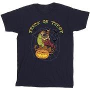 T-shirt enfant Scooby Doo BI34973