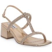 Sandales Steve Madden ALTA ROSE