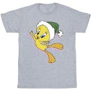 T-shirt enfant Dessins Animés BI25925