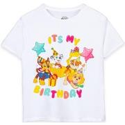 T-shirt enfant Paw Patrol It's My Birthday