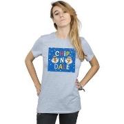 T-shirt Disney Chip N Dale Blue Frame