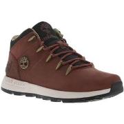 Boots Timberland 22845CHPE24