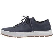 Baskets basses Timberland Maple Grove LOW LACE UP