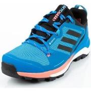 Chaussures adidas Terrex Skychaser 2 Gtx