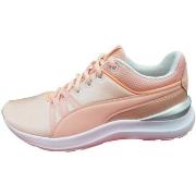 Chaussures Puma 368185