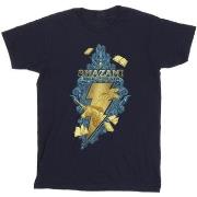 T-shirt enfant Dc Comics Fury Of The Gods