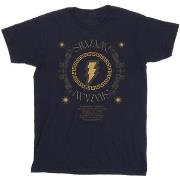 T-shirt enfant Dc Comics Shazam Fury Of The Gods Golden Spiral Chest