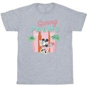 T-shirt Disney Spring Palms