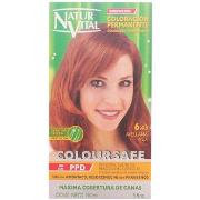 Colorations Natur Vital Coloursafe Tinte Permanente 6.43-avellana