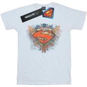 T-shirt Dc Comics BI51373