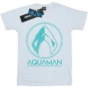 T-shirt enfant Dc Comics Aquaman Aqua Logo