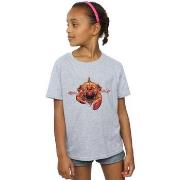 T-shirt enfant Dc Comics BI7053