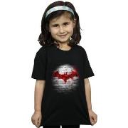 T-shirt enfant Dc Comics BI9152