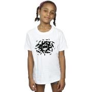 T-shirt enfant Dc Comics BI9260