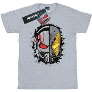 T-shirt enfant Marvel BI6822