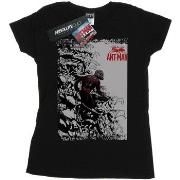 T-shirt Marvel BI7404