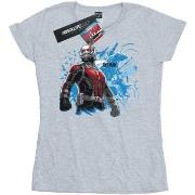 T-shirt Marvel Ant-Man Standing