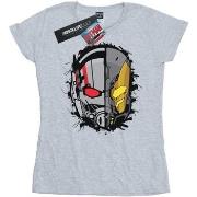 T-shirt Marvel BI7573