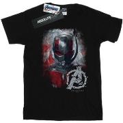 T-shirt Marvel Avengers Endgame Ant-Man Brushed