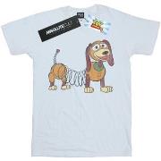 T-shirt Disney Toy Story 4 Slinky Pose