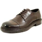 Derbies Exton Homme Chaussures, Derby, Cuir douce - 9021